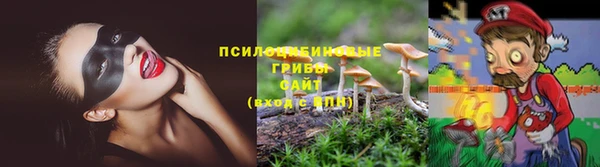 амф Арсеньев