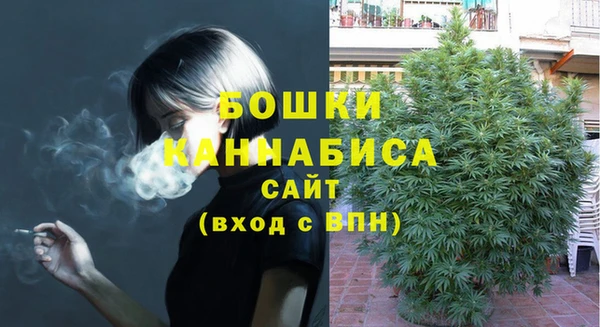 каннабис Аркадак