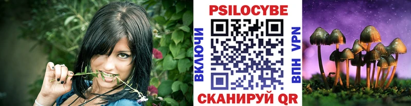 Псилоцибиновые грибы Cubensis  даркнет сайт  Пучеж 